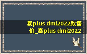 秦plus dmi2022款售价_秦plus dmi2022款沉浸式体验